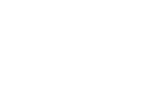 StormAudio-Logo-BLANC-TRAIT BLANC small